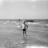 Familjen Erikssons tältsemestrar med bil på 1950- och 1960-talet. Björn vid stranden i Dronningmölle i Danmark 1962.