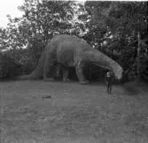 Familjen Erikssons tältsemestrar med bil på 1950- och 1960-talet. Familjen Eriksson på Hagenbecks Zoo i Hamburg, Tyskland 1962. På bilden Thomas vid en dinosaurie.