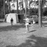 Familjen Erikssons tältsemestrar med bil på 1950- och 1960-talet. Barnen Thomas, Bodil och Björn i familjen Eriksson spelar badminton vid tältet i Århus 1963.
