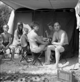 Familjen Erikssons tältsemestrar med bil på 1950- och 1960-talet. Matdags vid tältet i Dronningmölle, Danmark 1963.  Vid bordet sitter från vänster Thomas, Bodils kompis Eva Ljungkvist, Björn, Bodil, mamma Gun-Britt och pappa Thore 