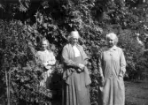 Hedvig Ulfsparre med två kvinnor i trädgården.