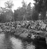 Simningen, 16/8 1942. 
Publiken vid simtävlingen.
