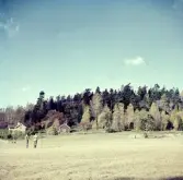 Malmsjö skola