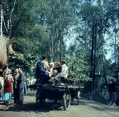 Midsommarfirande i Uttran, Grödinge