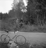 Orientering, 27/9 1942. 
Några personer håller på med att krypa under ett taggtrådsstängsel.
I förgrunden syns en grusväg och en parkerad cykel.