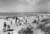 Villshärads havsbad. Strandvy med badande och solande människor på sandstrand.
