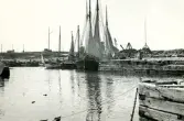 Vy över en hamn med segel- och fiskebåtar ligger förtöjda vid kajen vid Torekov, Skåne 1922.