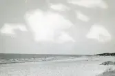 Vy över en strand i Torekov, Skåne 1922.
