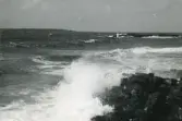 Vy över ett ilsket hav som slår mot klipporna vid Torekov, Skåne 1922.