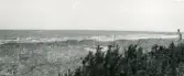 Kustområde vid Torekov, Skåne 1922.