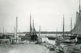 Hamnen i Torekov, Skåne 1922.