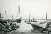 Fiskebåtar förtöjda vid piren i hamnen vid Torekov, Skåne 1922.