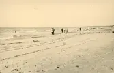 Människor som promenerar efter stranden vid Liseleje strand, Danmark 1925.