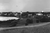 Vy över Laholm med ån Lagan i förgrunden. Tornet på Laholms kyrka skjuter upp ur bebyggelsen.