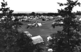 Mellbystrands camping. Vy över Tältstaden med havet i bakgrunden. Bland tälten står bilar. Förlag: Einar Lindgrens Bokhandel, Laholm