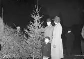 Julgransmarknad Rådhustorget. Den 18 December 1942.