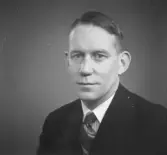 Svartvitt ateljéporträtt av en vuxen man i halvfigur mot neutral bakgrund. Han bär mörk kostym, vit skjorta och randig slips. Håret är kort och kammat med sidbena. Mannen har ett neutralt ansiktsuttryck och ser rakt mot kameran. Fotografiet är taget i studio under 1910-1920 tal.