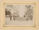 Avtäckningen av minnesstenen, Polacksbacken, Uppsala 1892