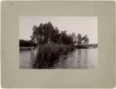 Tärnholmen vid Trehörningen Marielund, Uppland