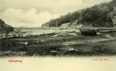 Brevkort, 