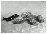 Figuriner i form av en snigel och snäckskal från Bo Fajans, omkring 1900-talets mitt. Sjö och havstema.