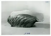 Snäckfomradskål från Bo Fajans, formgivare Ewald Dahlskog, omkring 1900-talets mitt.
