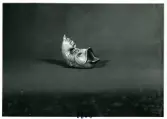 Askfat 36500 Fisk från Bo Fajans, formgivare Eva Jancke-Björk, omkring 1900-talets mitt.