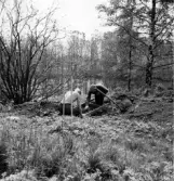 Trollhättan. Slottsön