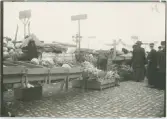 Höstmarknad på Vaksala torg, Uppsala 1912