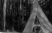 Man i tält, 1910