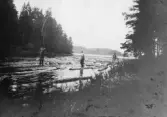 Timmerflottning vid Morjanå, vid utloppen ur sjön Kolsnaren, Vingåker, 1921