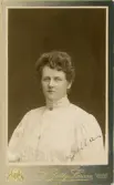 Fröken Clara Schander i höghalsad vit blus med broderier (s.k. engelskt broderi), Runt halsen syns en tunn klockkedja och en brosch.
Bröstbild, halvprofil. Ateljéfoto.
I nedre högra hörnet en autograf: 