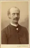 Johannes Nilsson, klädd i mörk kostym med stärkkrage, fluga och pincené.
Bröstbild, halvprofil. Ateljéfoto.

Brorson t. operasångerskan Christina Nilsson (1843-1921). Vice häradshövding och godsägare, Gårdsby säteri.