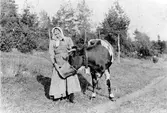 Maria Kristina Andersdotter