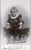 Porträtt av Tyra Annerstedt 1900 (enligt text framsida kort).