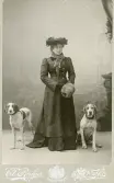 Porträtt av Fru Hansson, Malmö 1893 (enligt text baksida kort).
