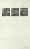 Skansen. Arbetsliv.  Linberedning. Skansen 1944.