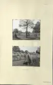 Skansen. Arbetsliv.  Linberedning. Skansen 1943.