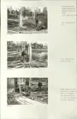 Skansen. Arbetsliv. Kolning. Bildserie visandes milans resande, påtändning och släckning. Se: NMA.0207413 - NMA.0207434