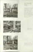 Skansen. Arbetsliv. Kolning. Bildserie visandes milans resande, påtändning och släckning. Se: NMA.0207413 - NMA.0207434