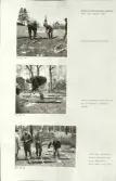 Skansen. Arbetsliv.  Kolning. Bildserie visandes milans resande, påtändning och släckning. Se: NMA.0207413 - NMA.0207434