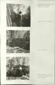 Skansen. Arbetsliv.  Kolning. Bildserie visandes milans resande, påtändning och släckning. Se: NMA.0207413 - NMA.0207434