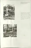 Skansen. Arbetsliv.  Kolning. Bildserie visandes milans resande, påtändning och släckning. Se: NMA.0207413 - NMA.0207434