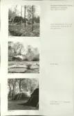 Skansen. Arbetsliv.  Kolning. Bildserie visandes milans resande, påtändning och släckning. Se: NMA.0207413 - NMA.0207434