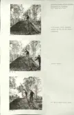 Skansen. Arbetsliv.  Kolning. Bildserie visandes milans resande, påtändning och släckning. Se: NMA.0207413 - NMA.0207434