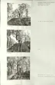 Skansen. Arbetsliv.  Kolning. Bildserie visandes milans resande, påtändning och släckning. Se: NMA.0207413 - NMA.0207434