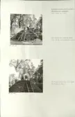 Skansen. Arbetsliv.  Kolning. Bildserie visandes milans resande, påtändning och släckning. Se: NMA.0207413 - NMA.0207434