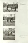 Skansen. Arbetsliv.  Kolning. Bildserie visandes milans resande, påtändning och släckning. Se: NMA.0207413 - NMA.0207434