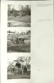 Skansen. Arbetsliv.  Kolning. Bildserie visandes milans resande, påtändning och släckning. Se: NMA.0207413 - NMA.0207434