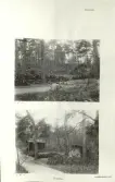 Skansen. Arbetsliv.  Kolning.